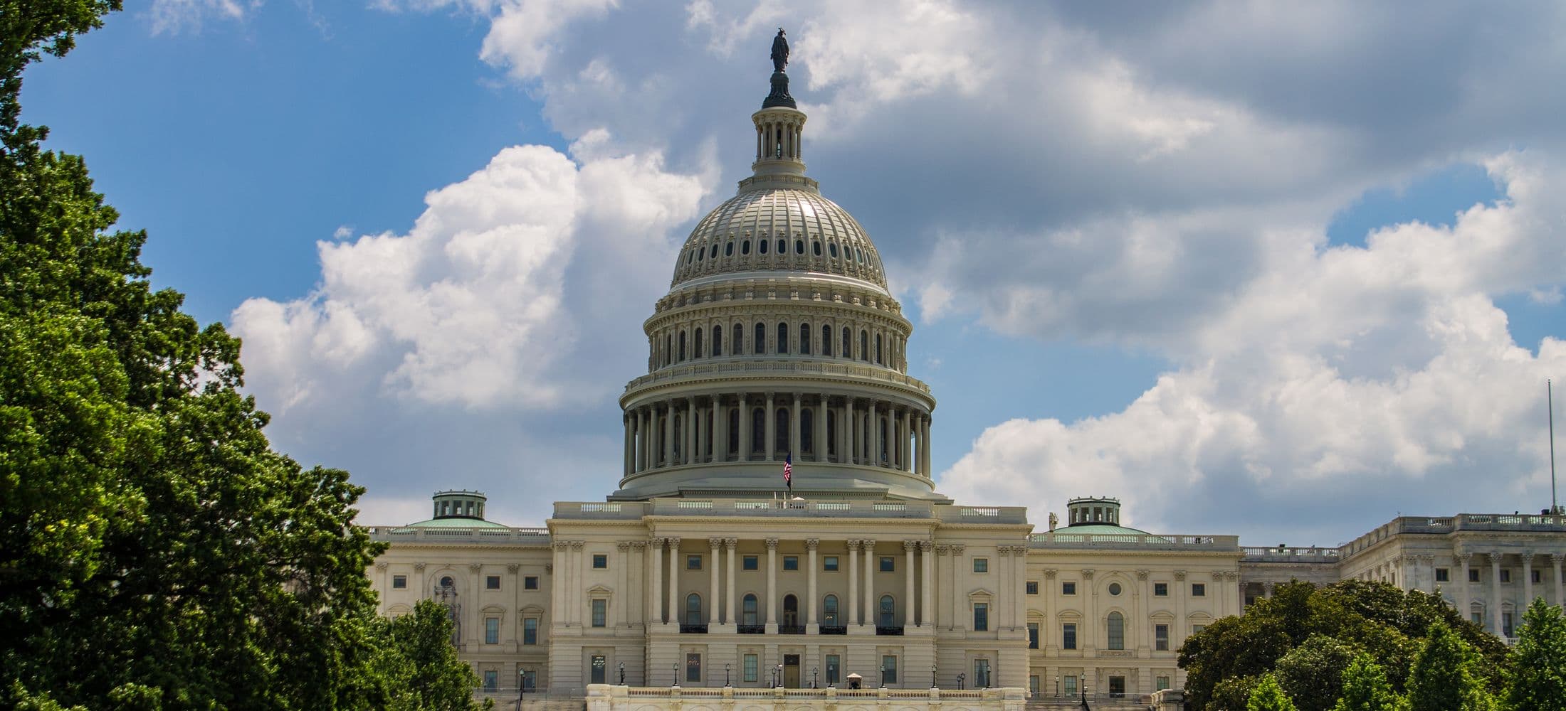 U.S. Capitol — government contracting services